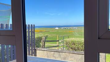 Blick durch ein Fenster auf eine mit Stein gepflasterte Terrasse, Holzbanken und einen Zaun mit Blick auf ein saftiges Grasfeld und entfernte Gebäude.