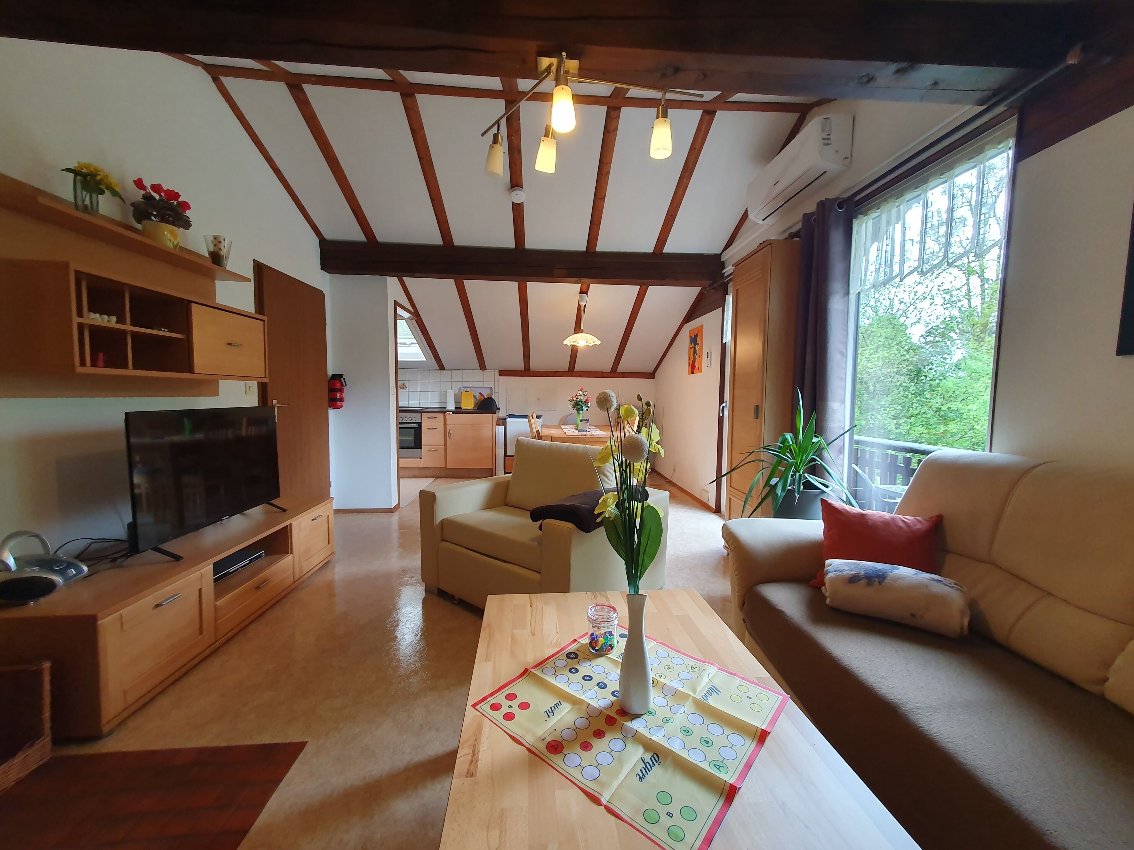 Fernseher, Kamin, DVD-Player, Bücher
