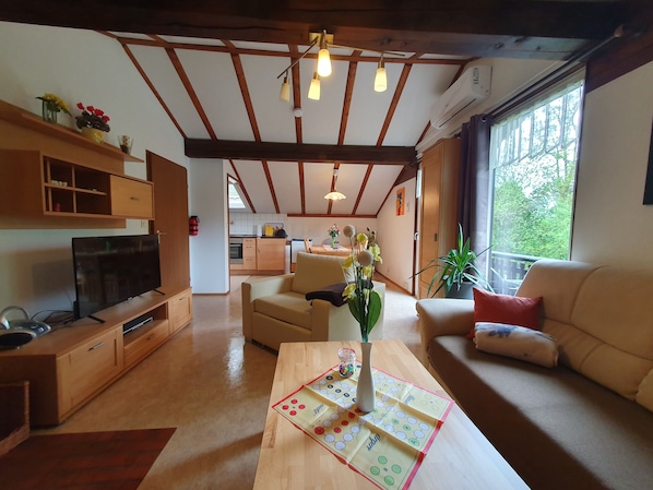 Fernseher, Kamin, DVD-Player, Bücher