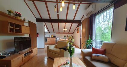 Ferienhaus Bussard am Silbersee