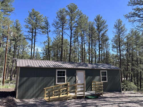 Cozy cabin less than 1 mile off the paved road in Timberon.