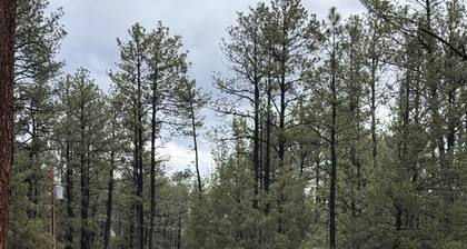 Cozy cabin less than 1 mile off the paved road in Timberon.