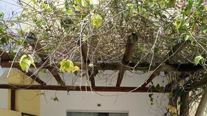 A covered entrance with a glass door, potted plants, and a tiled floor. - Apartment in a prime location on Coroa Vermelha beach, in a gated community. (Santa Cruz Cabrália)