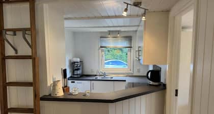Large holiday home with pool, spa and sauna