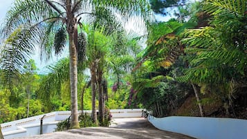 House, 4 Bedrooms, Private Pool | Garden