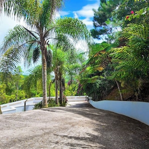 A paved pathway leading through a lush garden with various trees and a white wall on one side. - Casa Las Nubes-cayey (Cayey)
