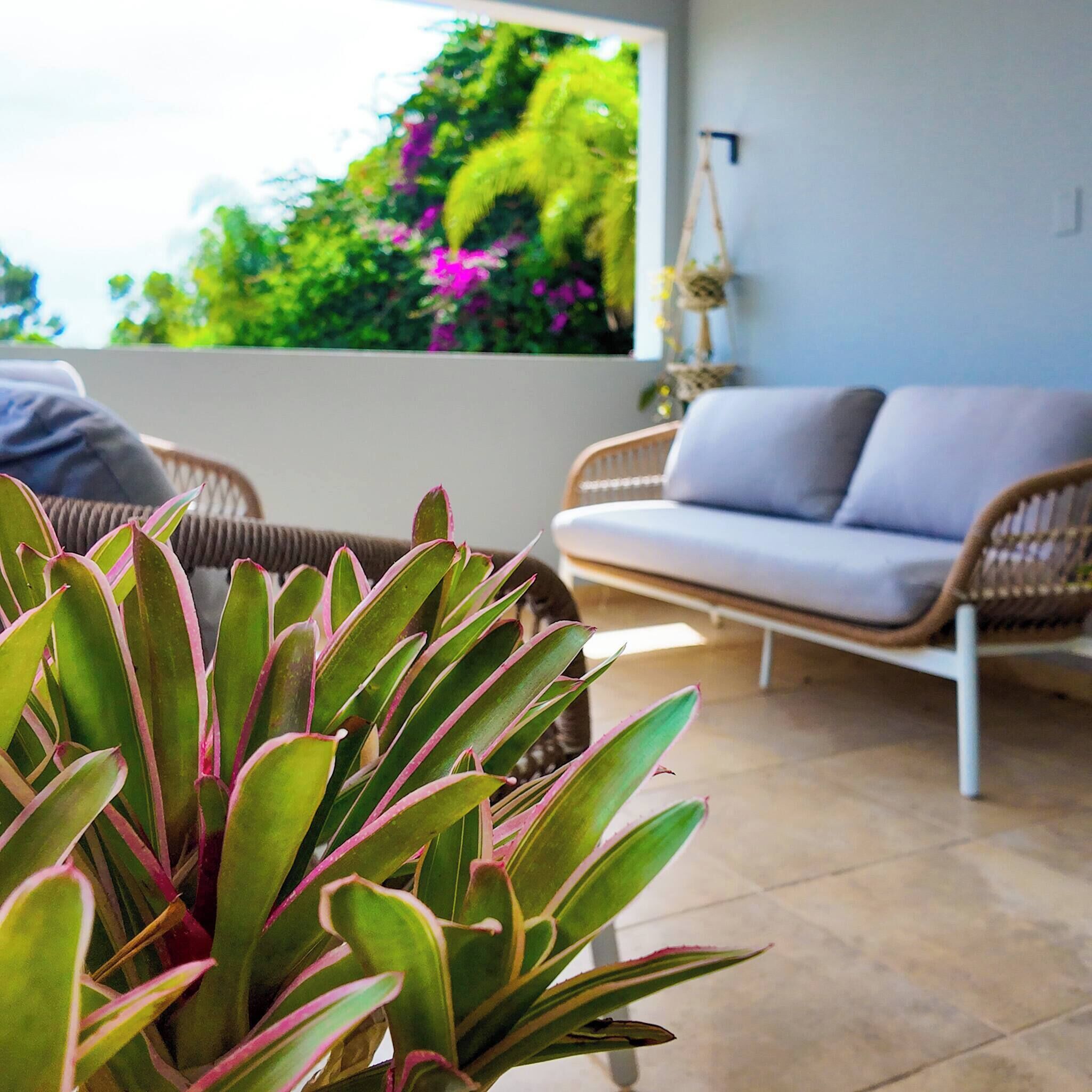 House, 4 Bedrooms, Private Pool | Living room | Books