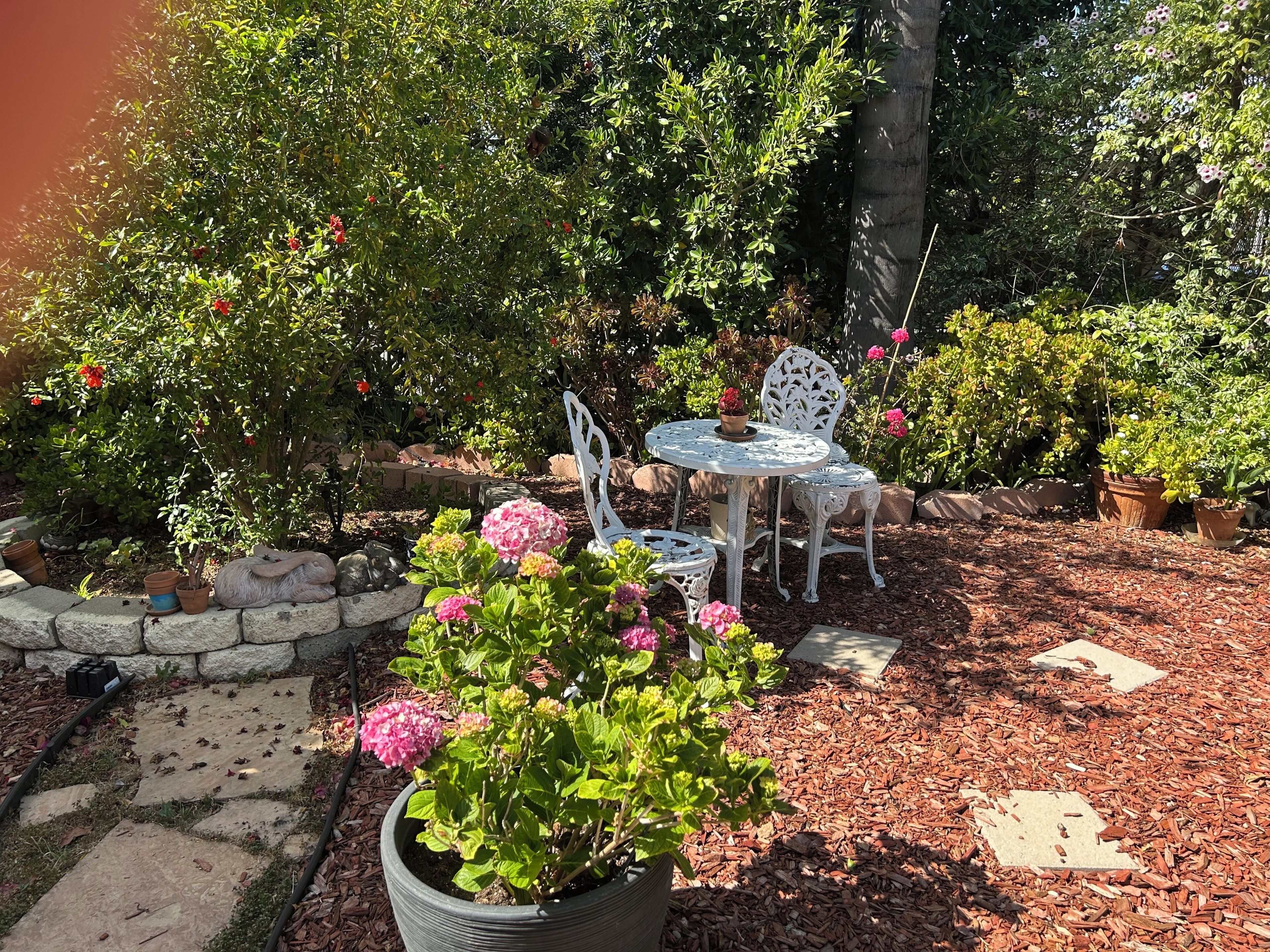 屋外ダイニングエリア