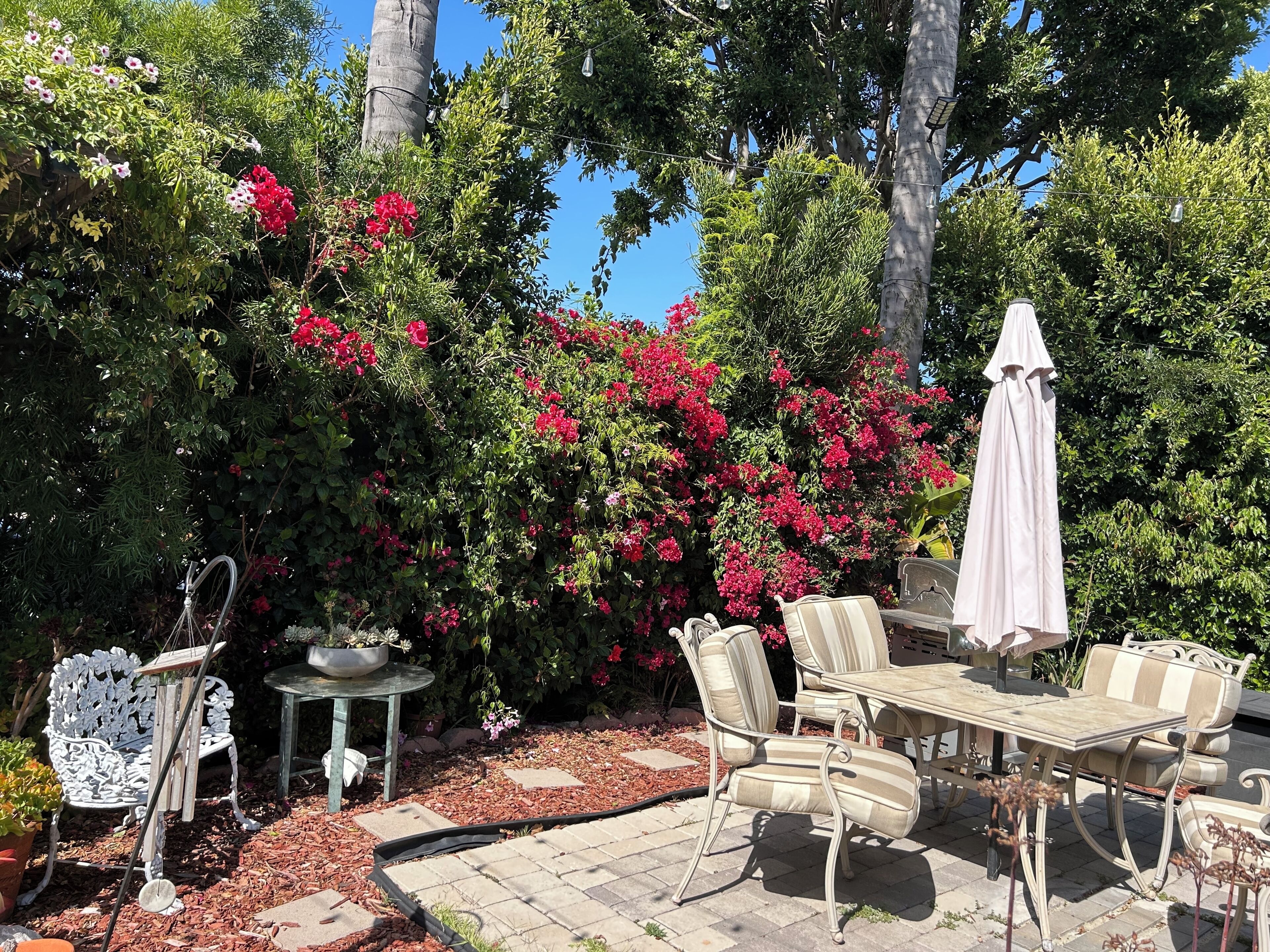 屋外ダイニングエリア