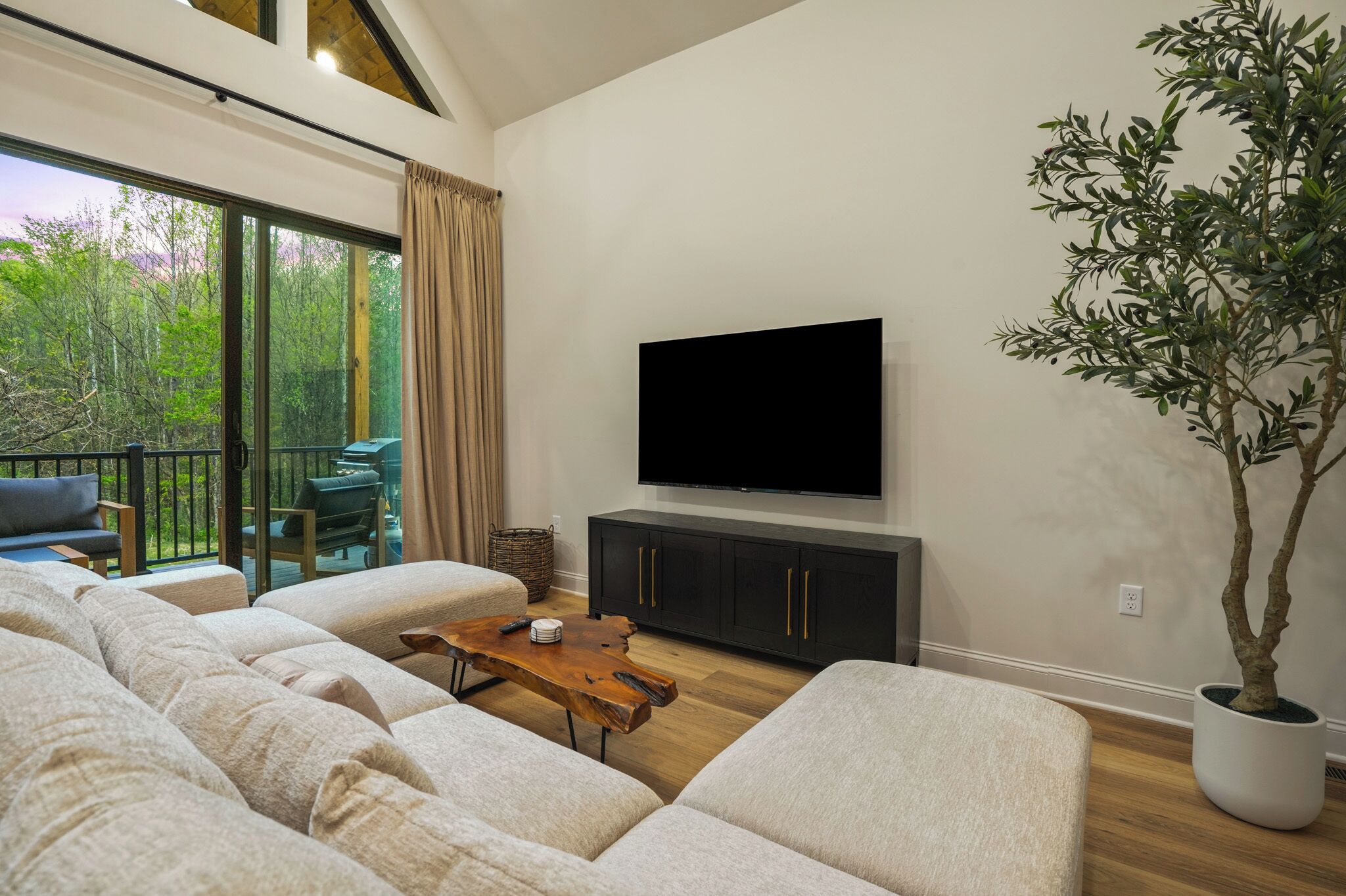 Smart TV