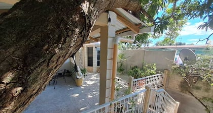In the city center, 10 minutes walk from the island, it is full conford