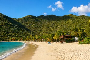 A beach with clear turquoise water, palm trees, and a mountainous backdrop. - 1-bedroom apartment, beachfront, in a complex with 3 pools and a garden (anse marcel)