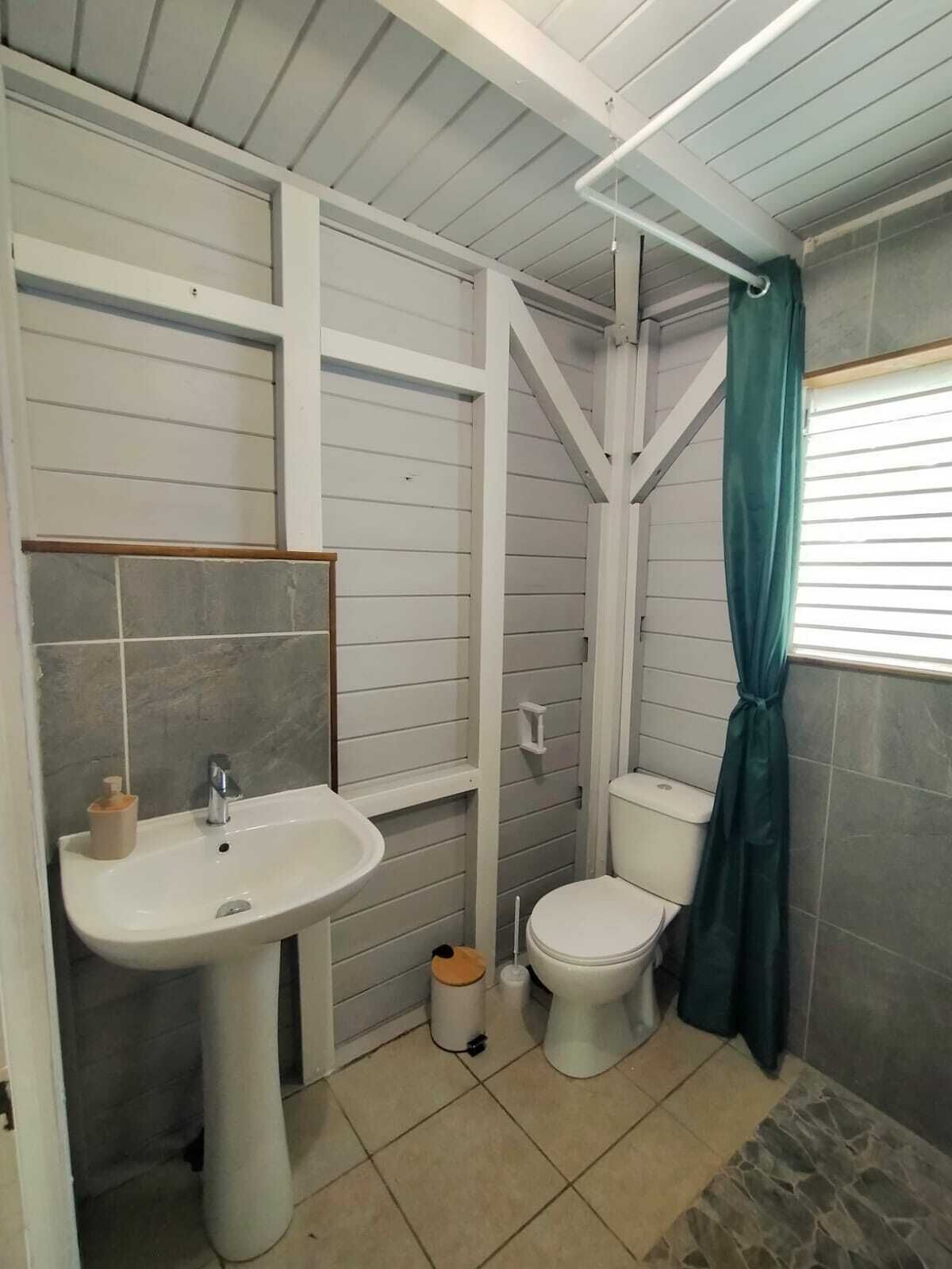 Hair dryer, towels, soap