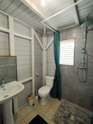 Hair dryer, towels, soap