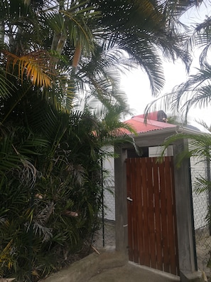Exterior detail