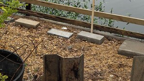 Een kalm meer met een houten steiger en een grasveld met beplanting.