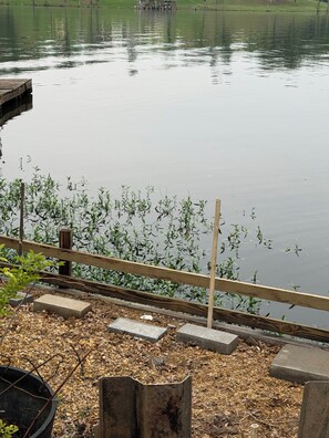 Un lac paisible, avec une jetée en bois et une zone herbeuse parsemée de plantes.