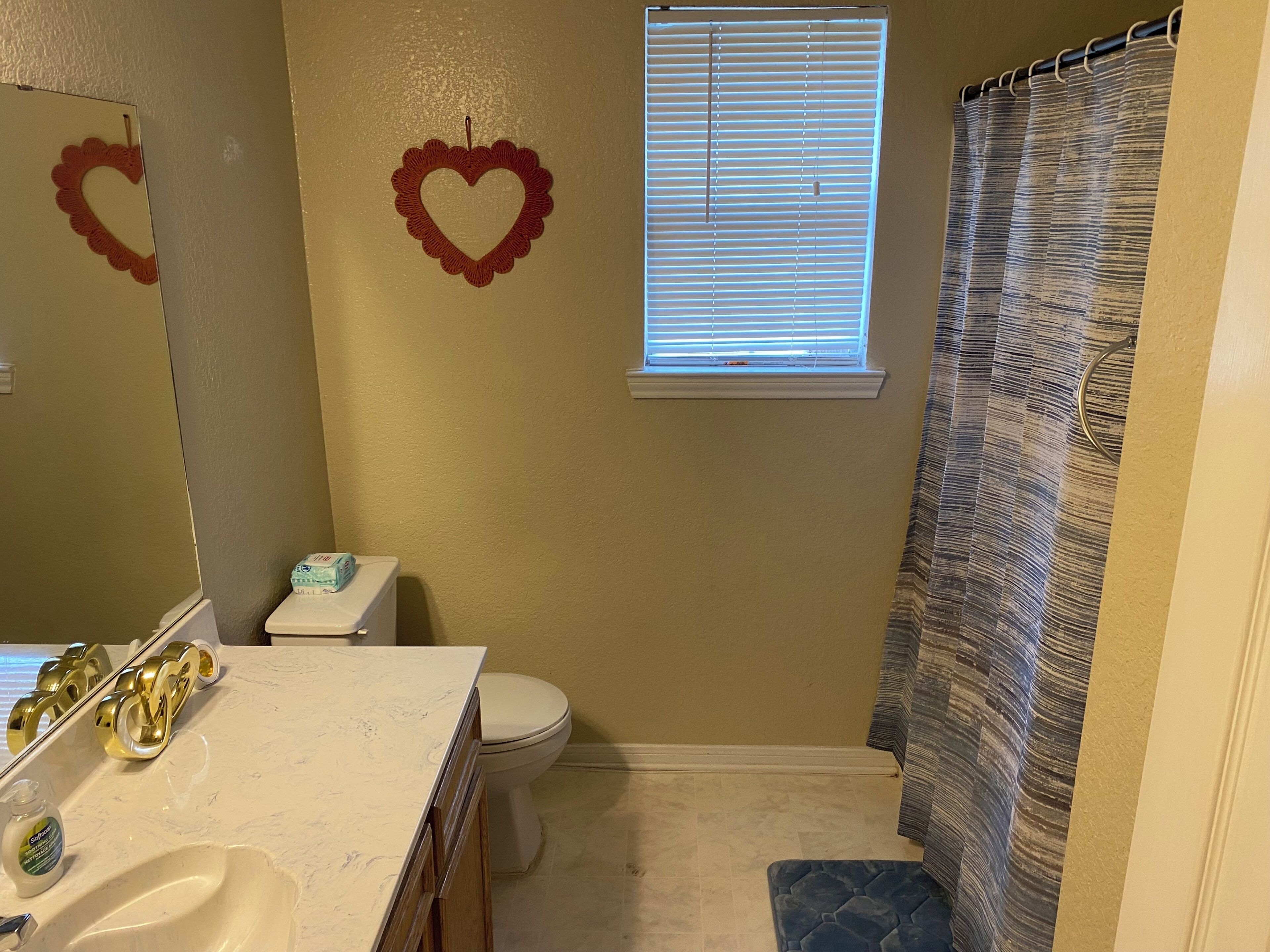 Shower, towels, soap, toilet paper