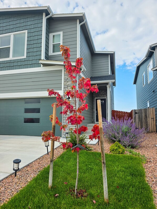 A residential building with a garage, a small garden with a tree, and a wooden fence. - The Hills in Lorson Ranch (Colorado Springs)