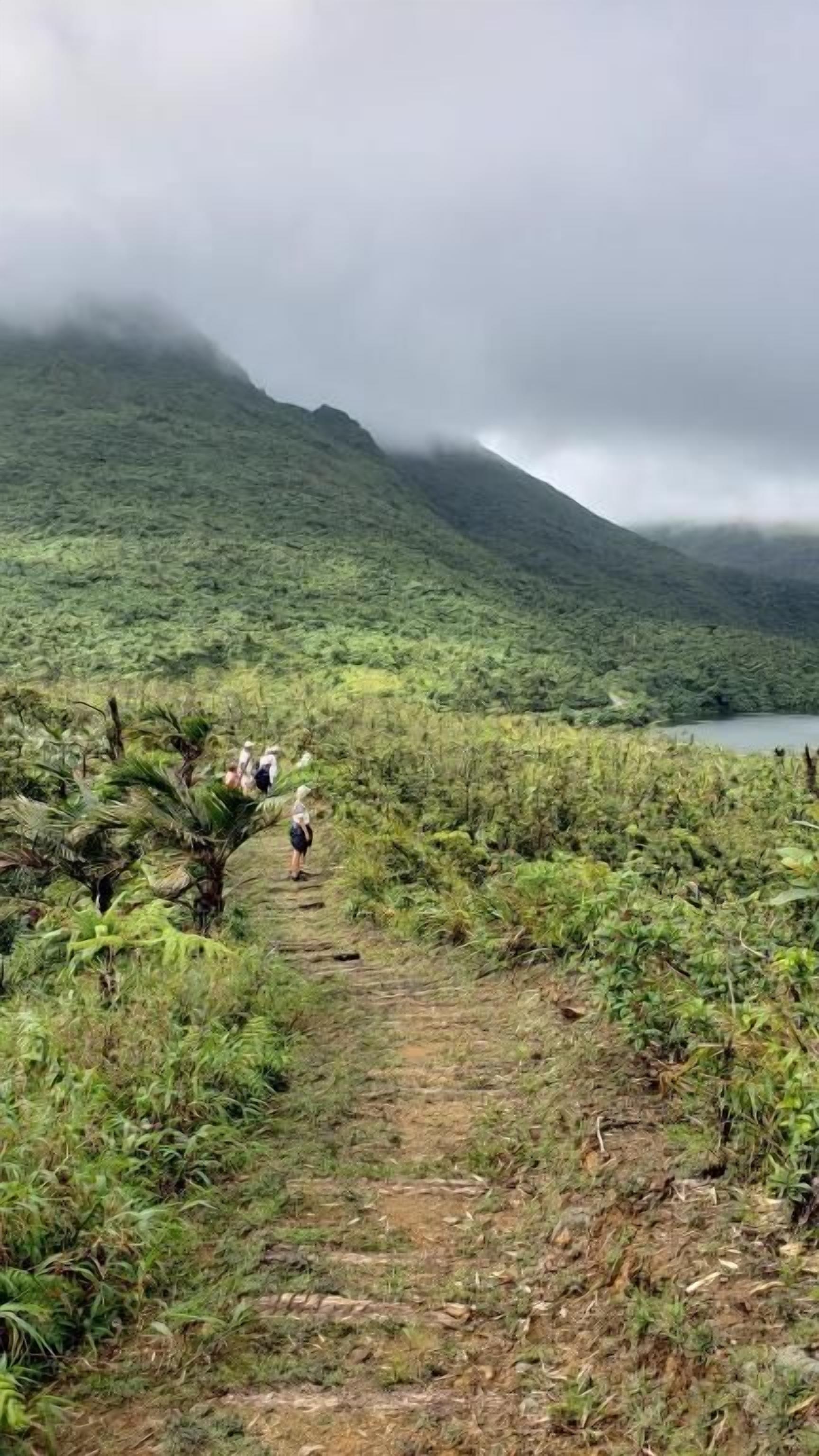 A narrow path leading through a lush, green landscape with a mountain in the background.