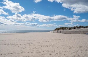 Beach - Hamptons Contemporary 4 beds cozy home minutes to beaches, village, US Open disc (Hampton Bays)