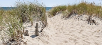 Hamptons Contemporary 4 beds cozy home minutes to beaches, village, US Open disc