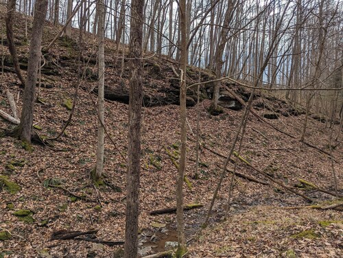  camp site in charming Glenville perfect for nature lovers.