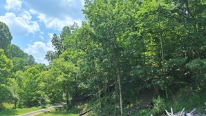 A gravel path leading through a wooded area with trees and a pile of debris on the right. -  camp site in charming Glenville perfect for nature lovers. (Glenville)