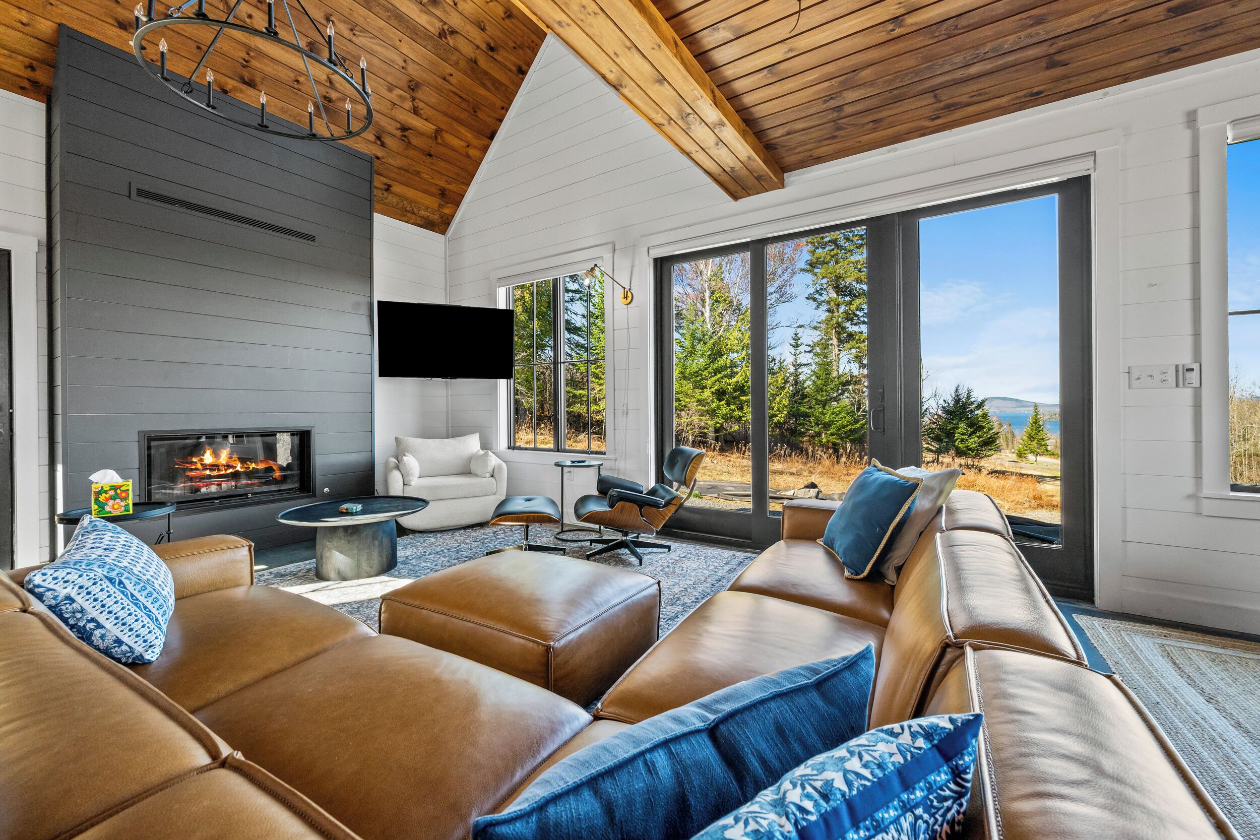 TV, fireplace, books