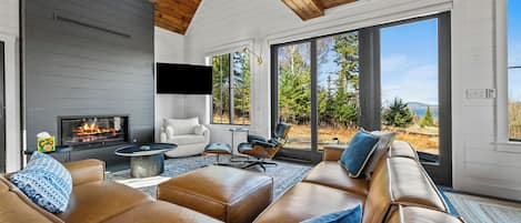 TV, fireplace, books
