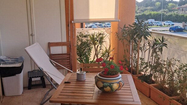 Una mesa de madera con sillas, una planta en maceta con flores y vista a un estacionamiento.