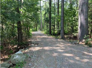Miscellaneous - 2-bedroom cabin With Functional Roof and Various Indoor Seating Areas (Wolfeboro)