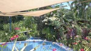 Una piscina con borde de baldosas, rodeada de abundante follaje y diversas plantas.