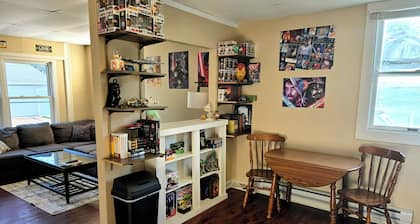 Pop-Culture Paradise