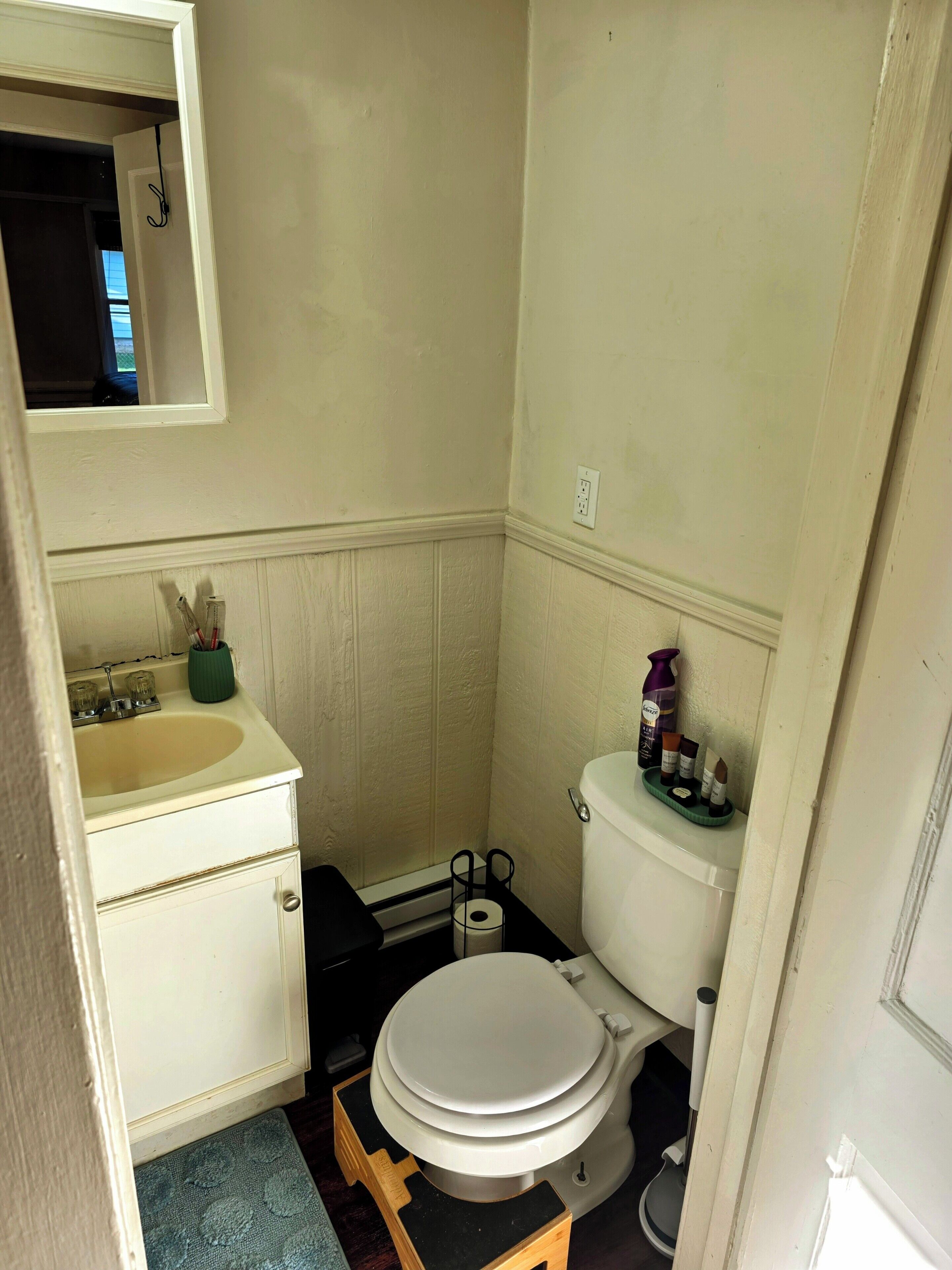 Un baño pequeño con un lavabo blanco, un inodoro y un espejo sobre el lavabo.