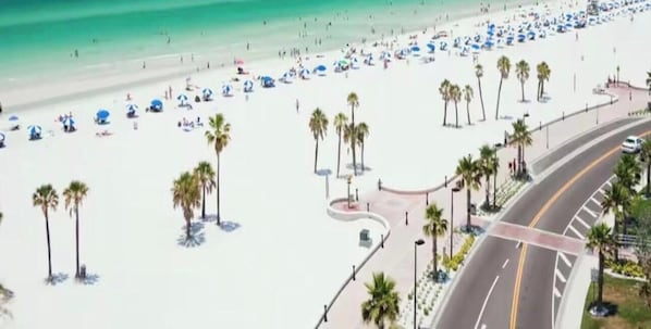 A beach with palm trees, umbrellas, and a road.