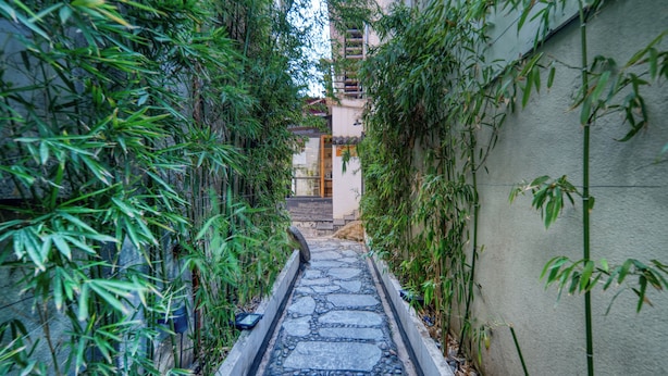 A narrow stone pathway flanked by bamboo plants leading to a building entrance. - Gongxili - Chujian Hotel (Kunming)