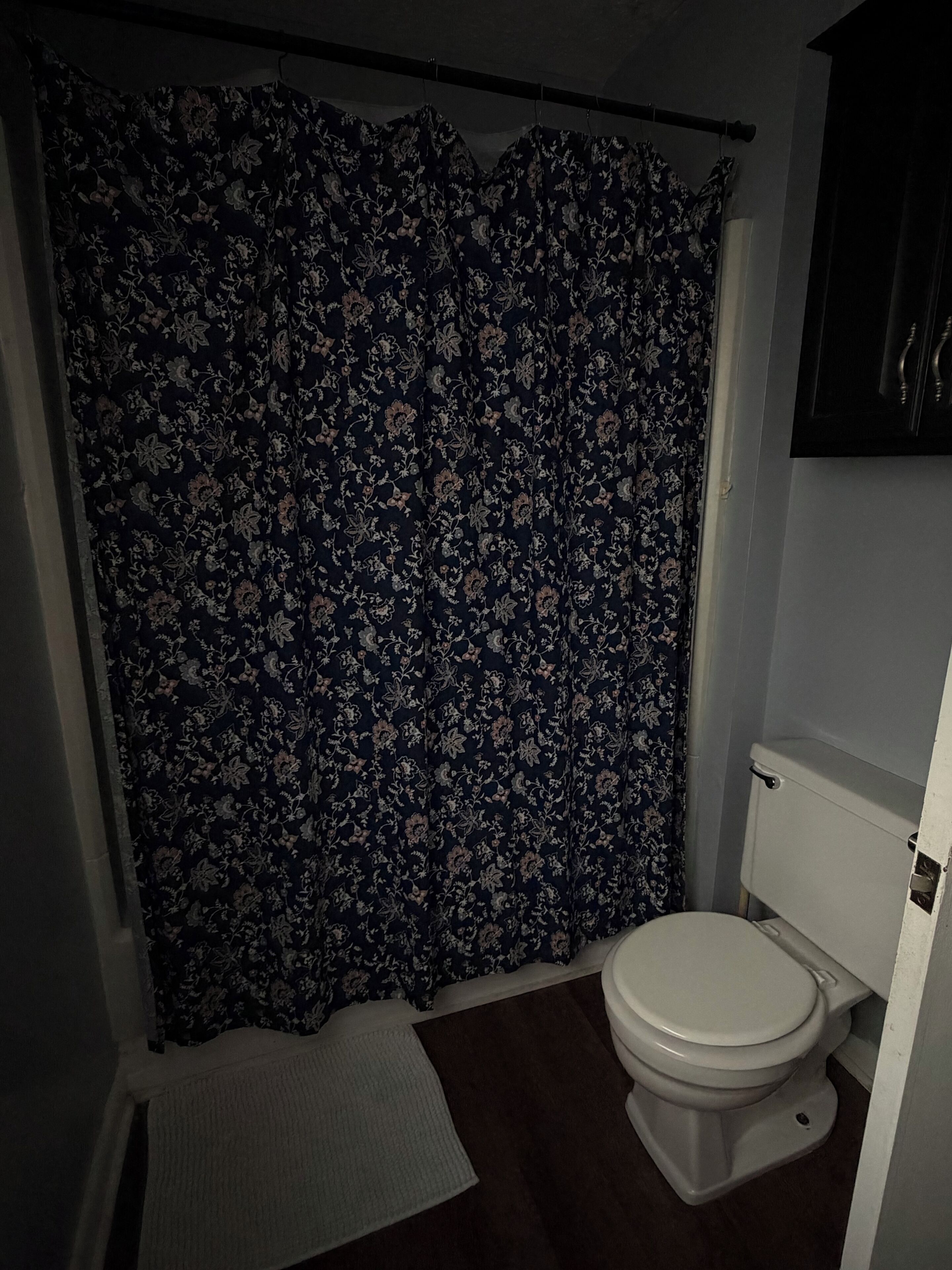 Hair dryer, towels, toilet paper