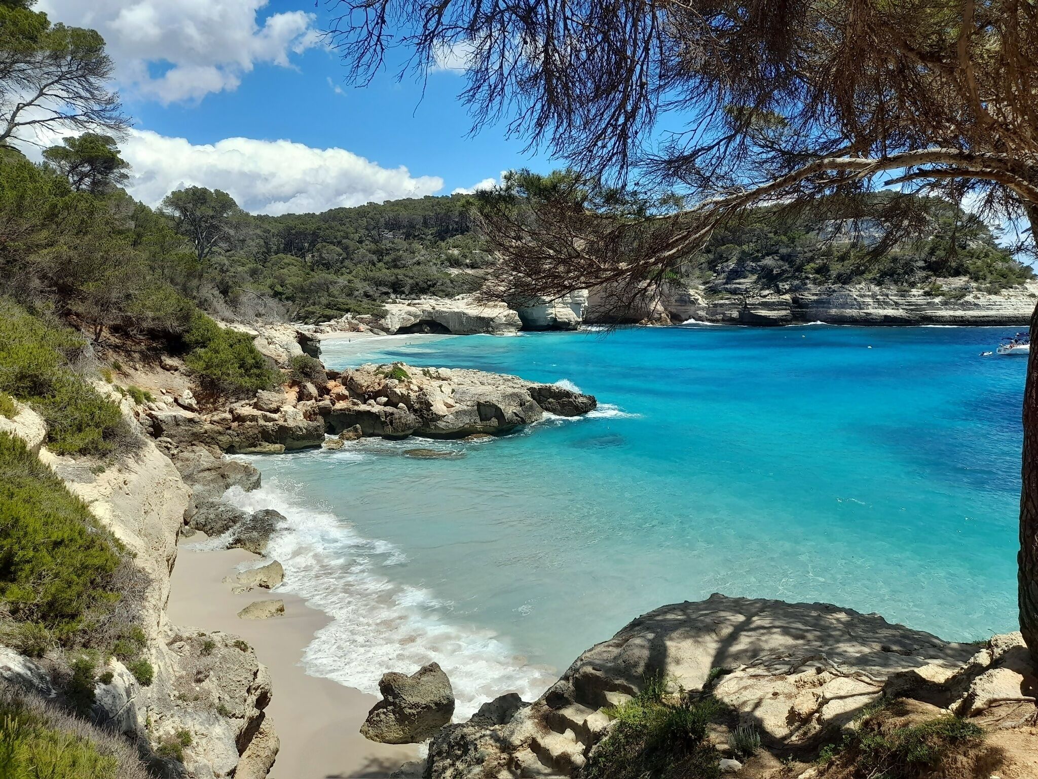 Eine Küstenlandschaft mit felsigem Gelände, klarem türkisblauem Wasser und dichter Vegetation.