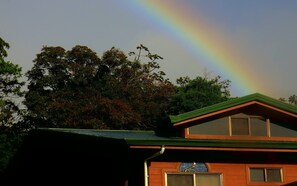 A house with a green roof and a window with a decorative glass design. - Spacious Monteverde Bird-watchers Home (Monteverde)