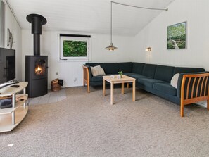 Un salon chaleureux avec un poêle en bois noir, un canapé vert, une table basse en bois et un téléviseur posé sur un meuble.
