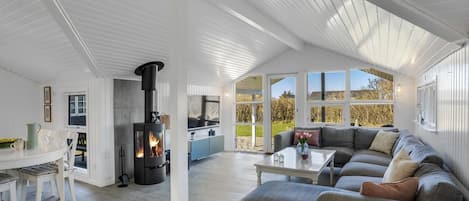 Fernseher, Kamin