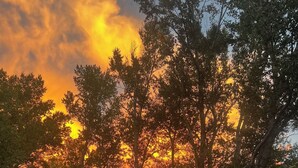 A forested landscape with a river, trees, and a sunset.