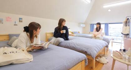 Hostel Five