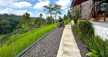Padi Bali Jatiluwih
