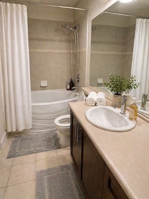 Hair dryer, towels, soap, toilet paper