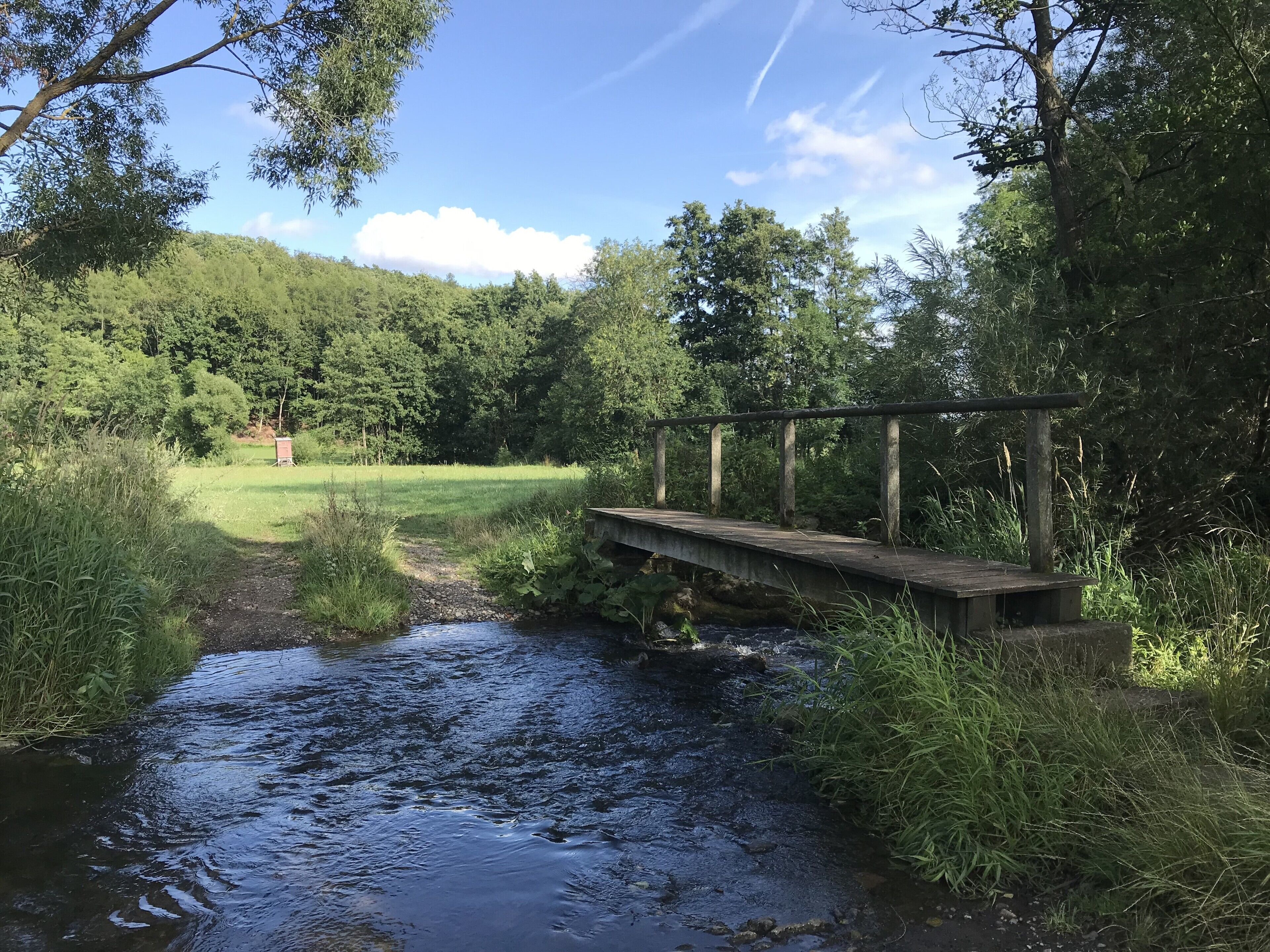 Eine Holzbrücke über einem Bach in bewaldetem Gebiet.