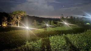 A nighttime landscape with a tree and distant city lights. - Tikumbar - Glamping, Cafe, Camping Ground & Campervan (Pelaga)