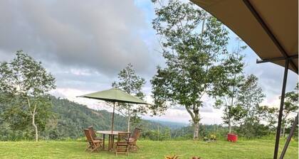 Tikumbar - Glamping, Cafe, Camping Ground & Campervan