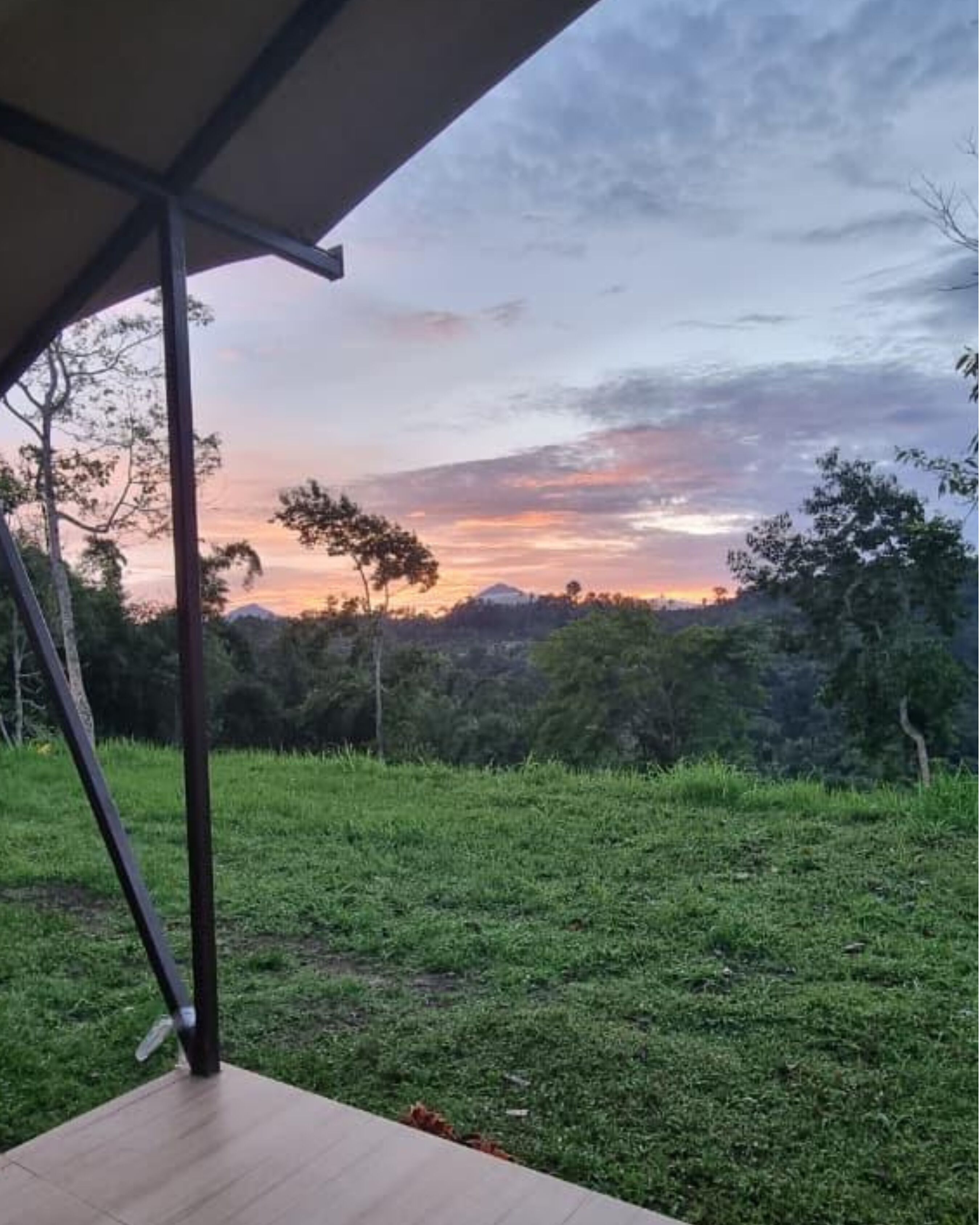 Vista desde un espacio exterior cubierto con un paisaje de césped y árboles al fondo.